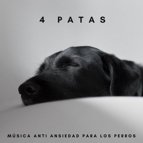 Música Para Perros cover art