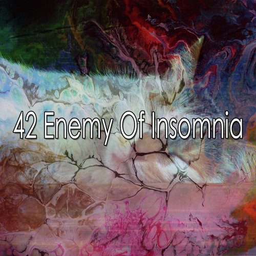 42 Enemy of Insomnia