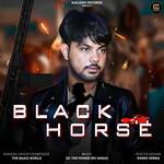 BLACK HORSE