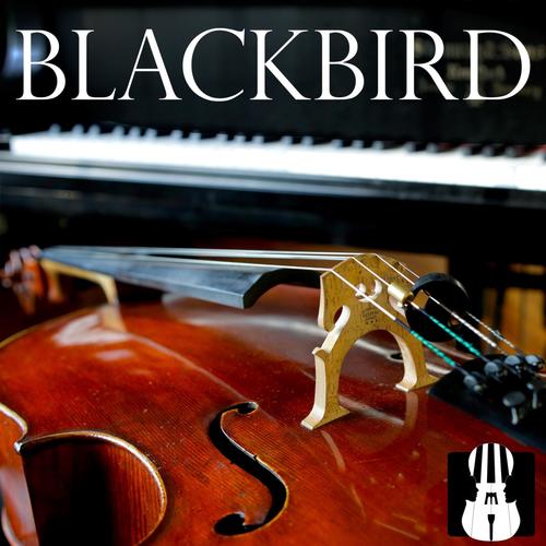 Blackbird