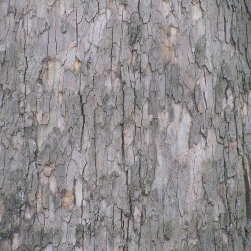 Book of Changes, Vol. 2