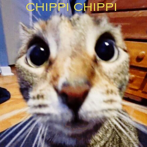 Chippi Chippi Chappa Chappa (Trap Edition) cover art