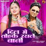 Dil Me Tohake Rakhle Bani