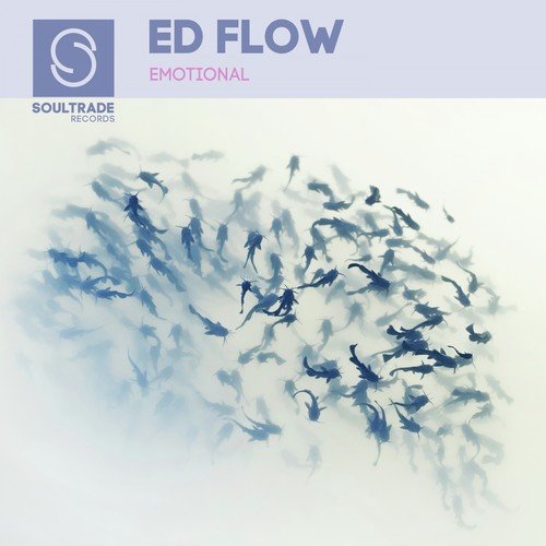 Ed Flow