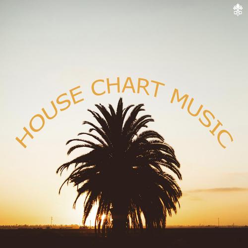 House Chart Music_poster_image