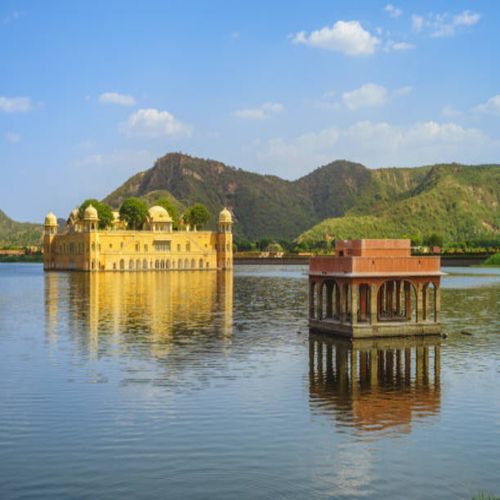 Jaw mora kandaya