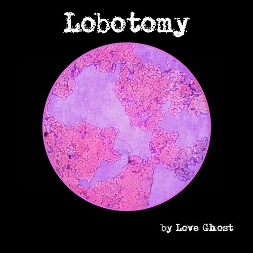 Lobotomy_poster_image