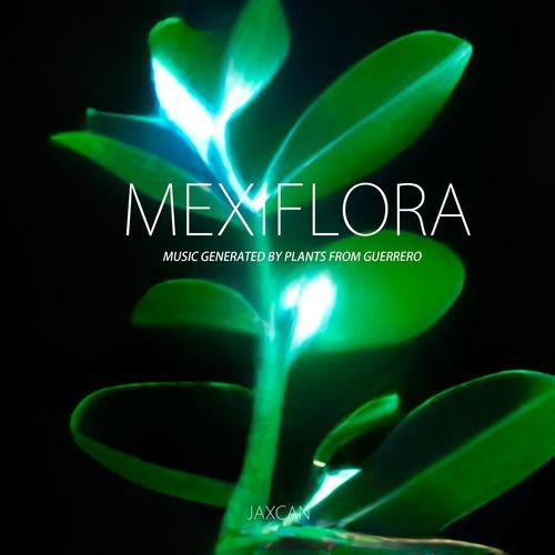 Euphorbia tanquahuete sesse & moc (Pegahueso) cover art