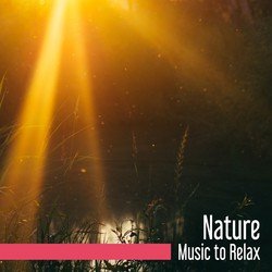 Rain Sounds Nature Collection