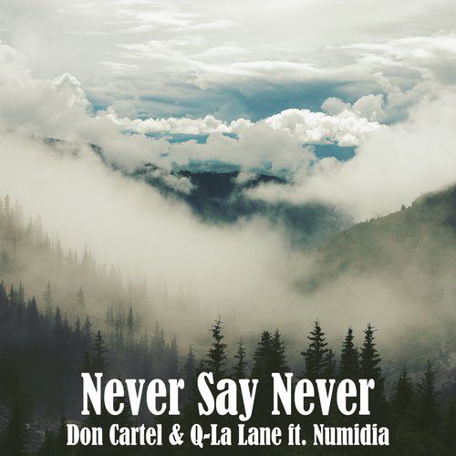 Never Say Never_poster_image