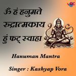 Om Ham Hanumate Rudratmakaya Hum Phat Swaha