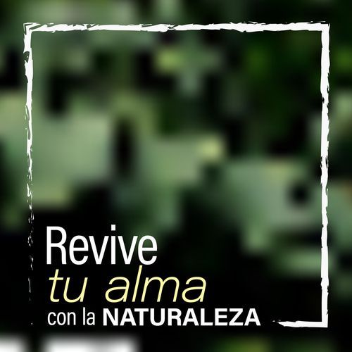 Revive tu alma con la Naturaleza