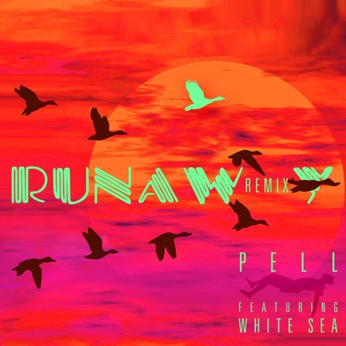 Runaway (feat. White Sea)