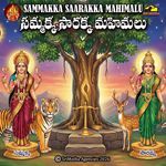 Samaka saraka mookkulu