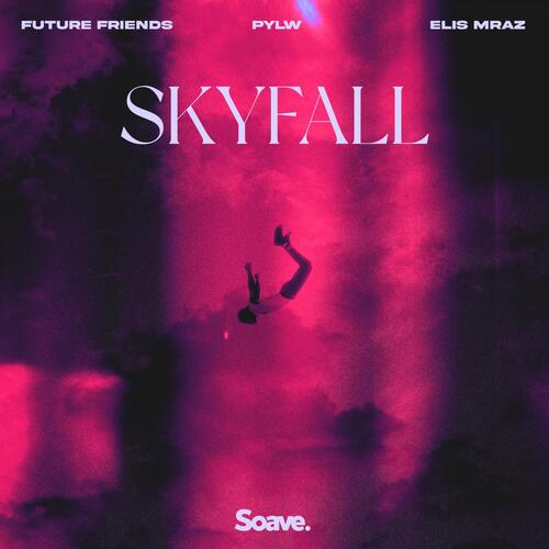 Skyfall (feat. Elis Mraz)_poster_image