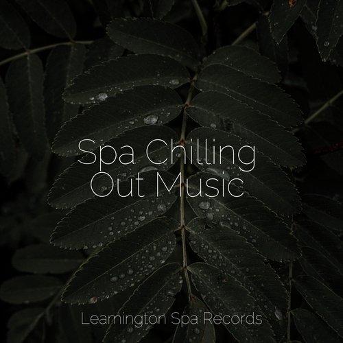 Sleep Music cover art
