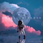 Small Universe