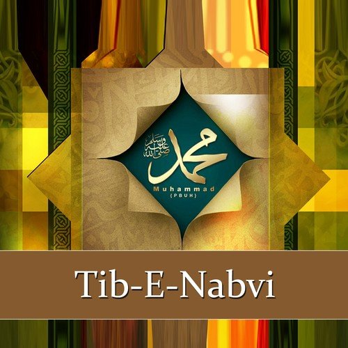 Tib-e-Nabvi, Vol. 1