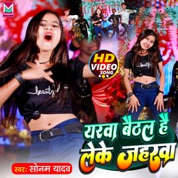 yarwa baithal hai leke jaharava