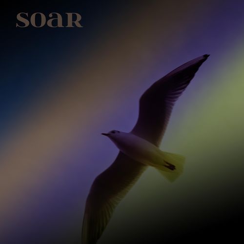 soar