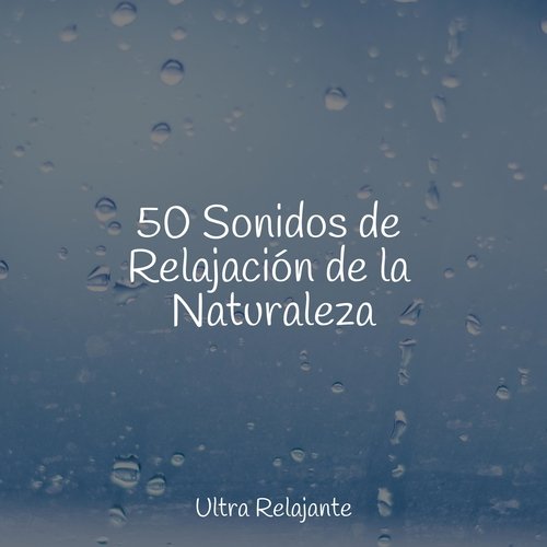 50 Sonidos de Relajación de la Naturaleza