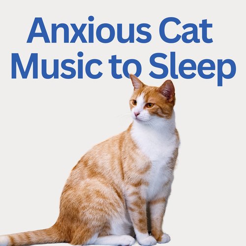 Calming music for cats with outlet anxiety