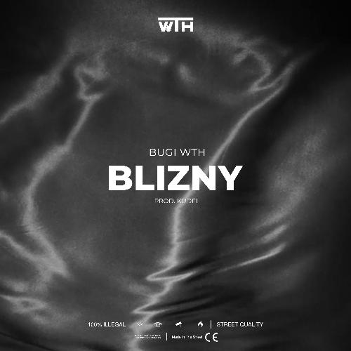 Blizny_poster_image