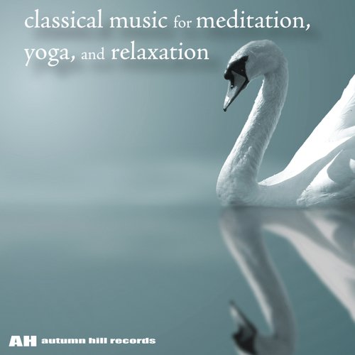 Symphony No. 9 in D Minor, Op. 125: IV. Ode to Joy cover art