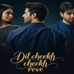 Dil Cheekh Cheekh Rove