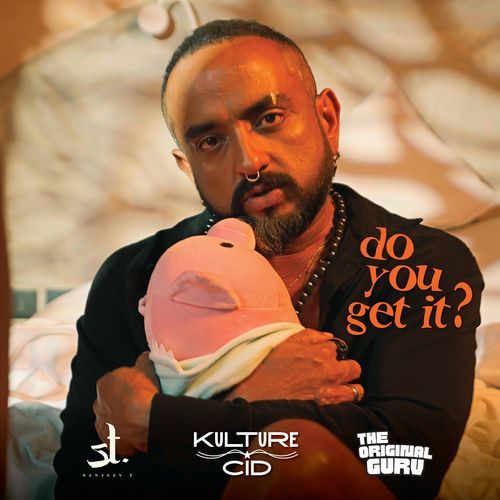 Do you get it? cover art