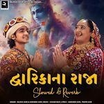 Dwarika Na Raja (Slowed+Reverb)