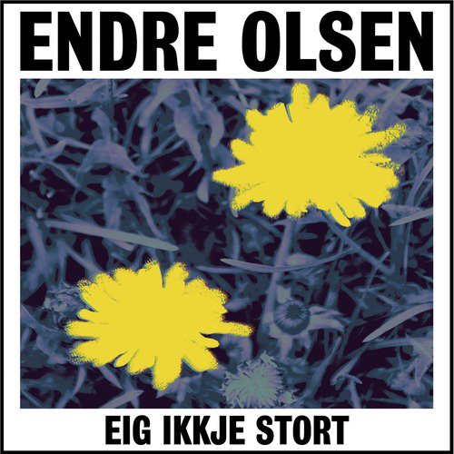 Eig ikkje stort_poster_image