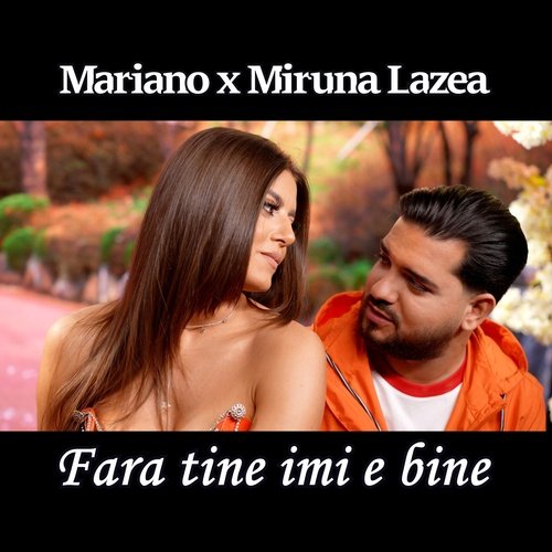 Fara tine imi e bine_poster_image