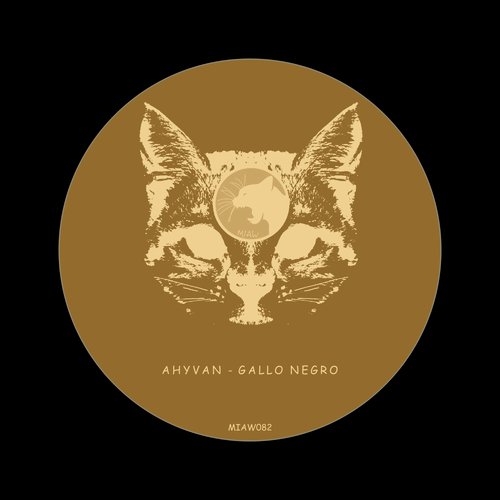 Gallo Negro (Original Mix) cover art