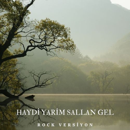Haydi Yarim Sallan Gel (Rock Versiyon) cover art