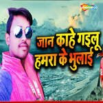 Jan Kahe Gailu Hamara Ke Bhulai