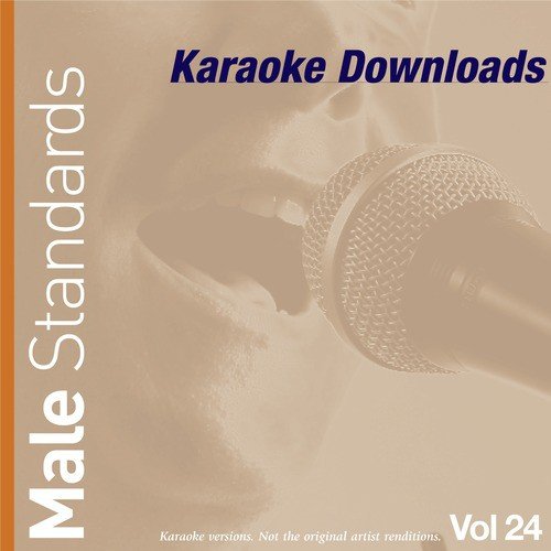 Karaoke Downloads - Male Standards Vol.24