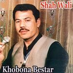 Khobona Bestar