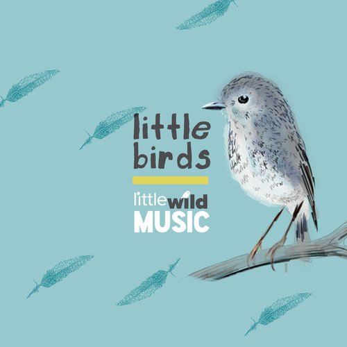 Little Robin cover art