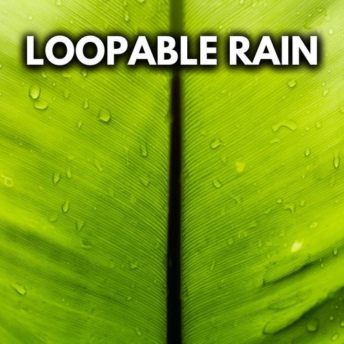 Fire And Rain Sounds White Noise cover art