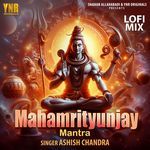 Mahamrityunjay Mantra Lofi Mix