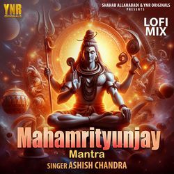 Mahamrityunjay Mantra Lofi Mix