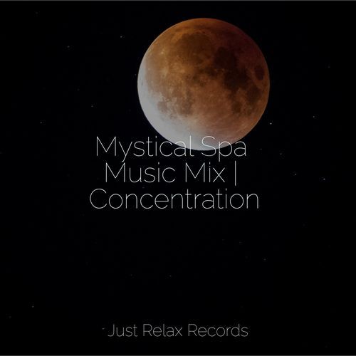 Mystical Spa Music Mix | Concentration