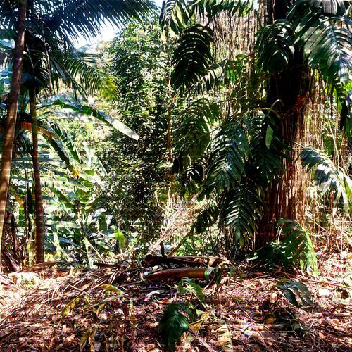 O Ar nos Meus Pulmões / Beautiful World