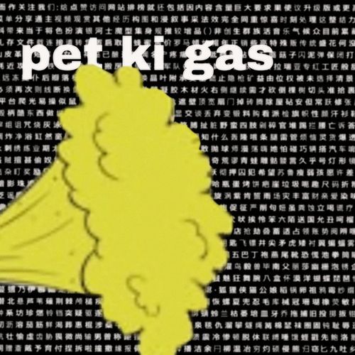 Pet ki gas