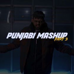 Punjabi Mashup Pt.3-LwsMBSdVAUI