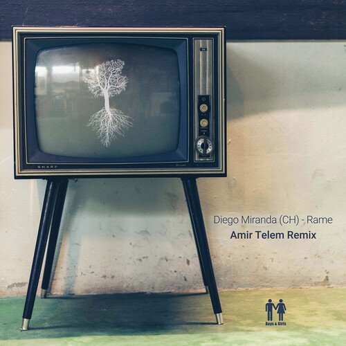 Rame (Amir Telem Remix) cover art
