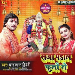 Saja pandal phoolo se