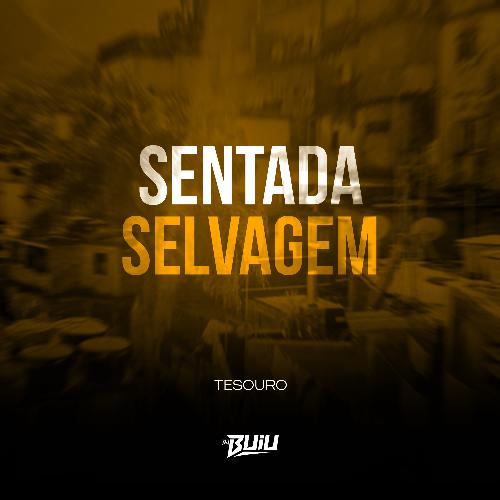 Sentada Selvagem_poster_image