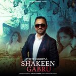 Shakeen Gabru